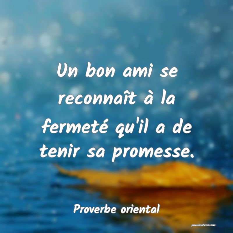 Un bon ami se reconnaît à la fermeté qu'il a de tenir sa promesse.