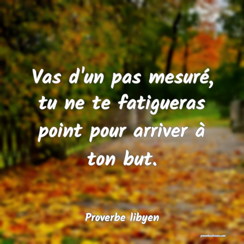 Vas d'un pas mesuré, tu ne te fatigueras point pour arriver à ton but.