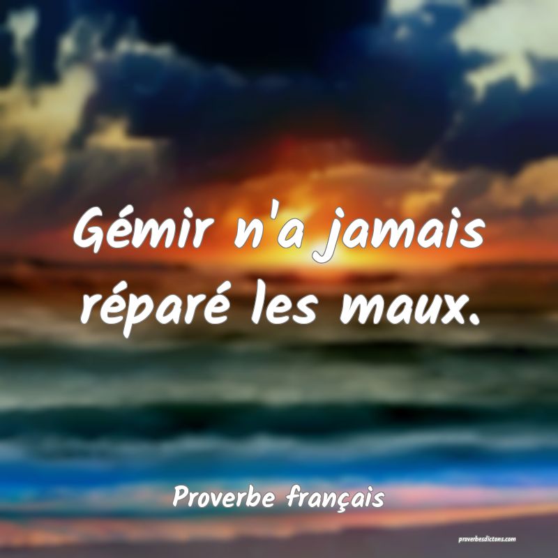 Gémir n'a jamais réparé les maux.