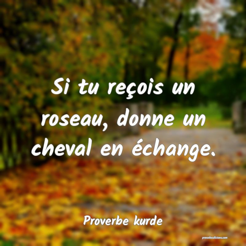 Si tu reçois un roseau, donne un cheval en échange.
