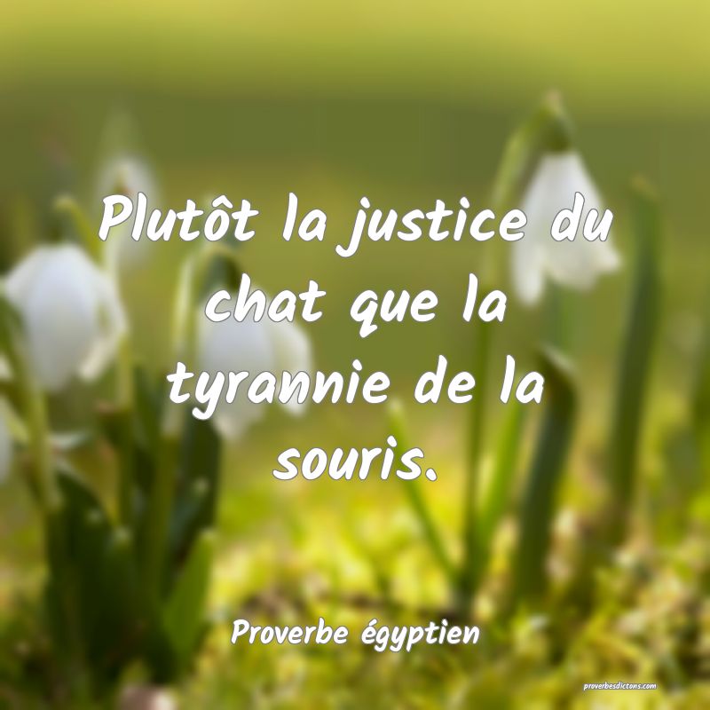 Plutôt la justice du chat que la tyrannie de la souris.