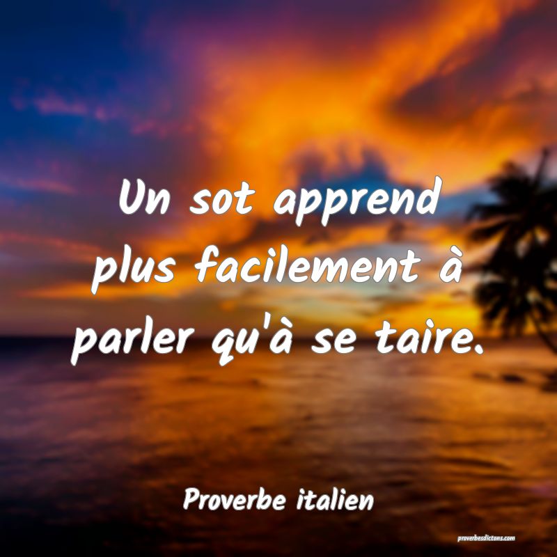 Un sot apprend plus facilement à parler qu'à se taire.