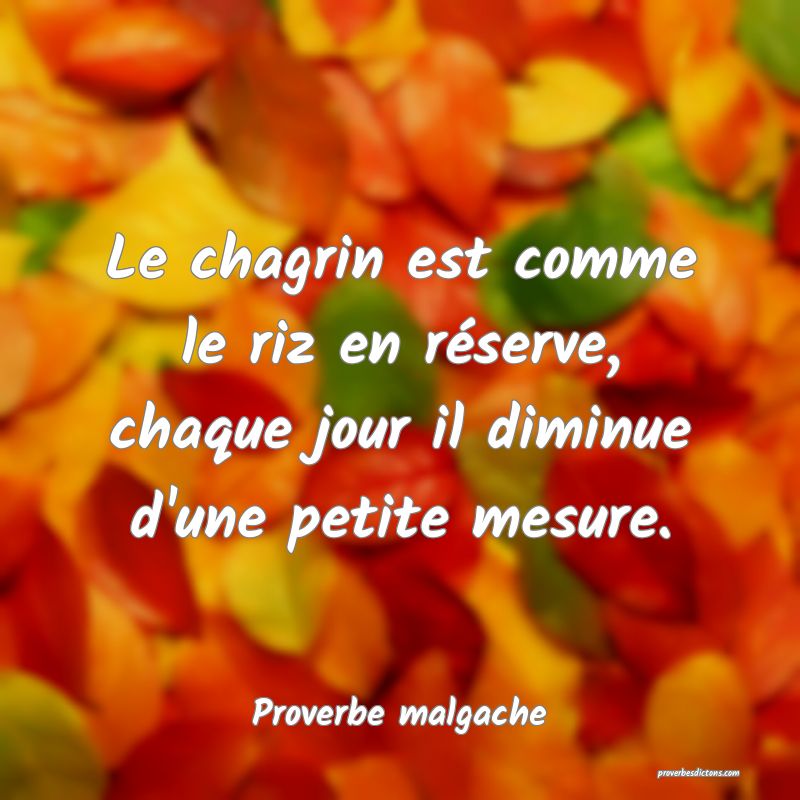 Le chagrin est comme le riz en réserve, chaque jour il diminue d'une petite mesure.