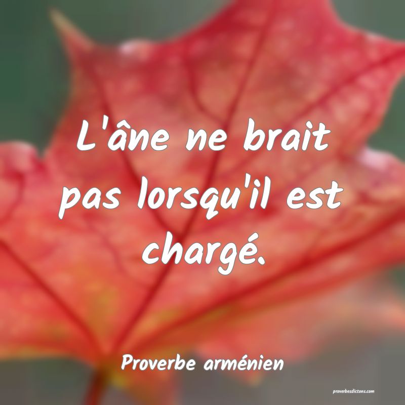 L'âne ne brait pas lorsqu'il est chargé.