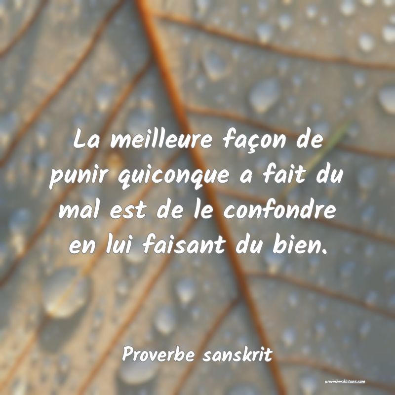 La meilleure façon de punir quiconque a fait du mal est de le confondre en lui faisant du bien.