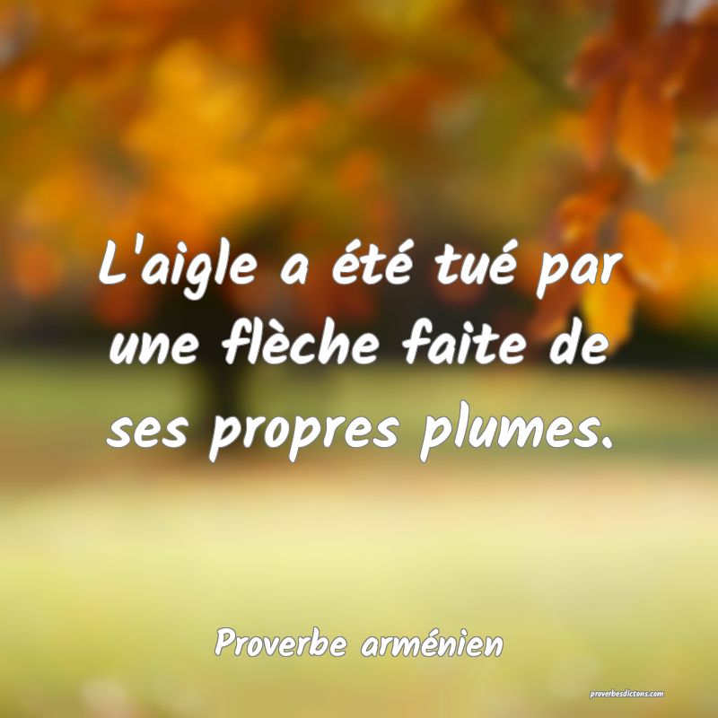 L'aigle a été tué par une flèche faite de ses propres plumes.