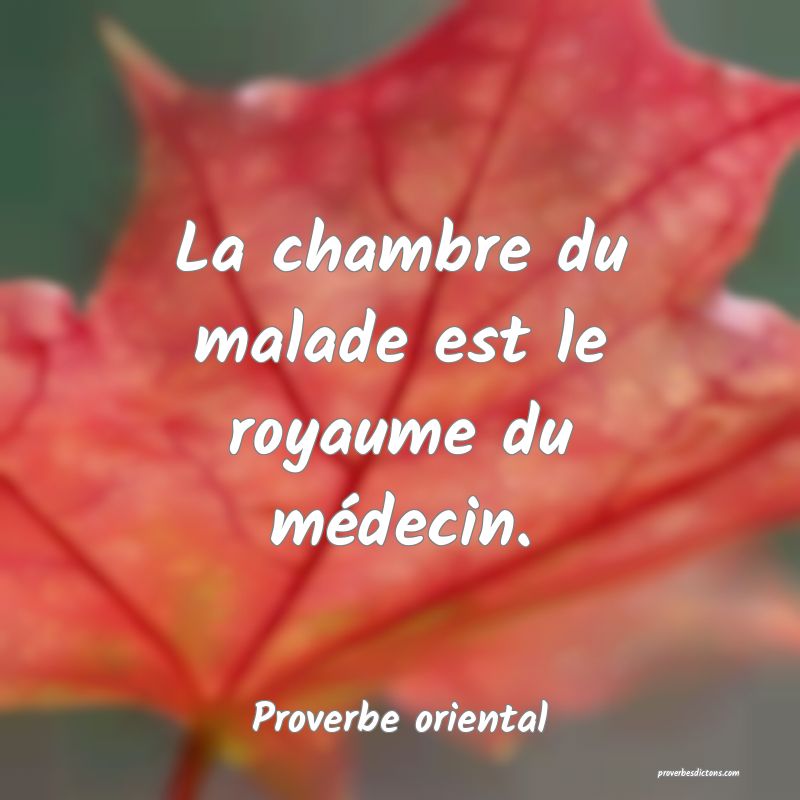 La chambre du malade est le royaume du médecin.