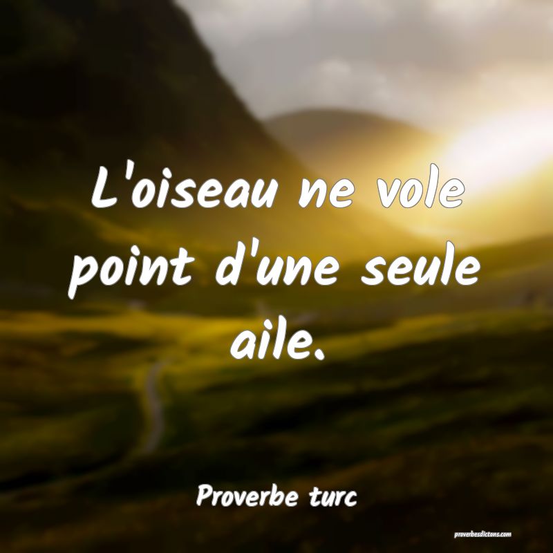 L'oiseau ne vole point d'une seule aile.