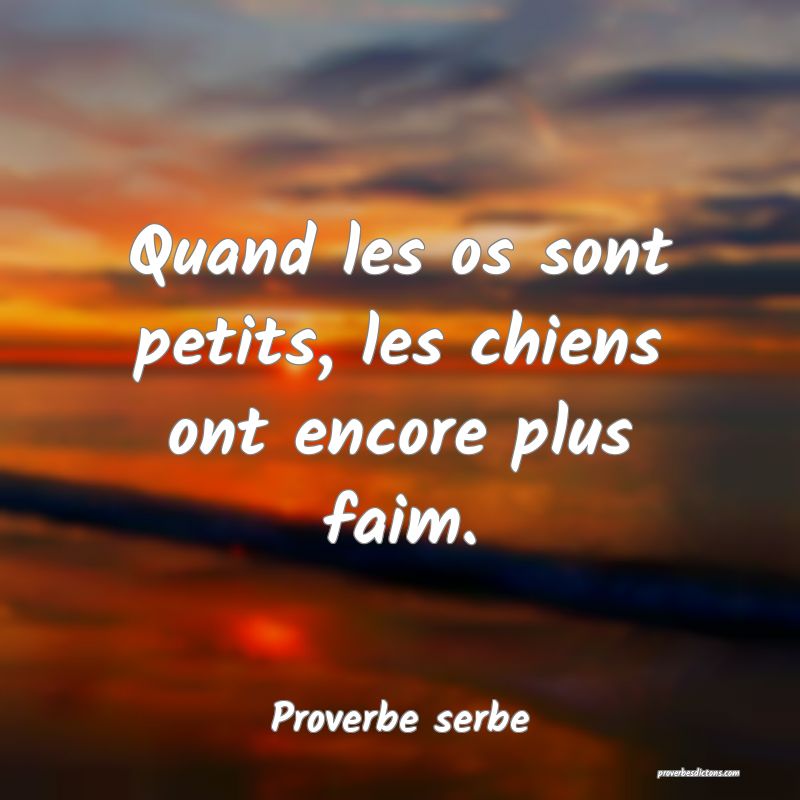 Quand les os sont petits, les chiens ont encore plus faim.