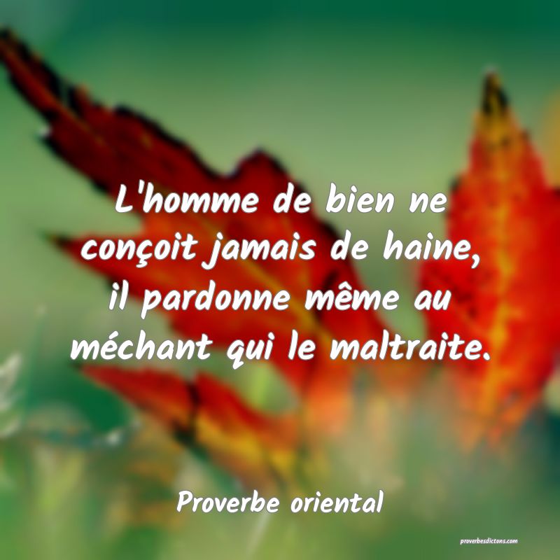 L'homme de bien ne conçoit jamais de haine, il pardonne même au méchant qui le maltraite.