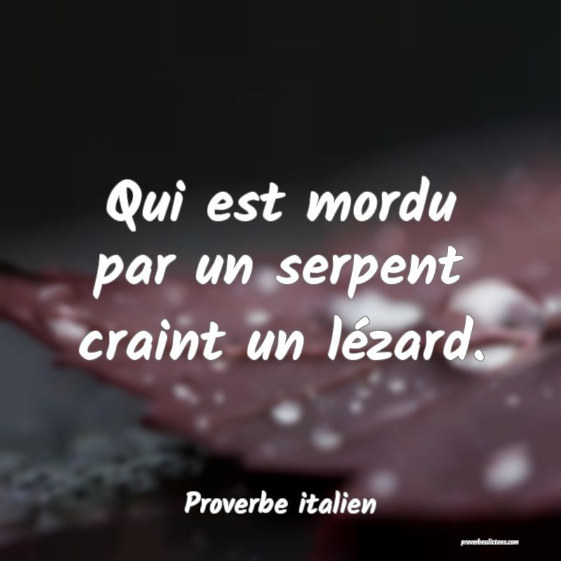Qui est mordu par un serpent craint un lézard.
