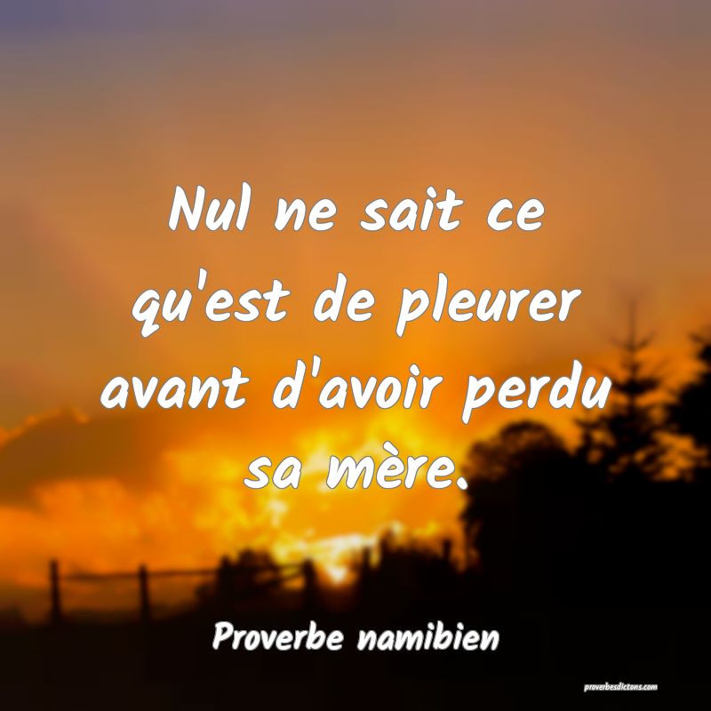 Nul ne sait ce qu'est de pleurer avant d'avoir perdu sa mère.