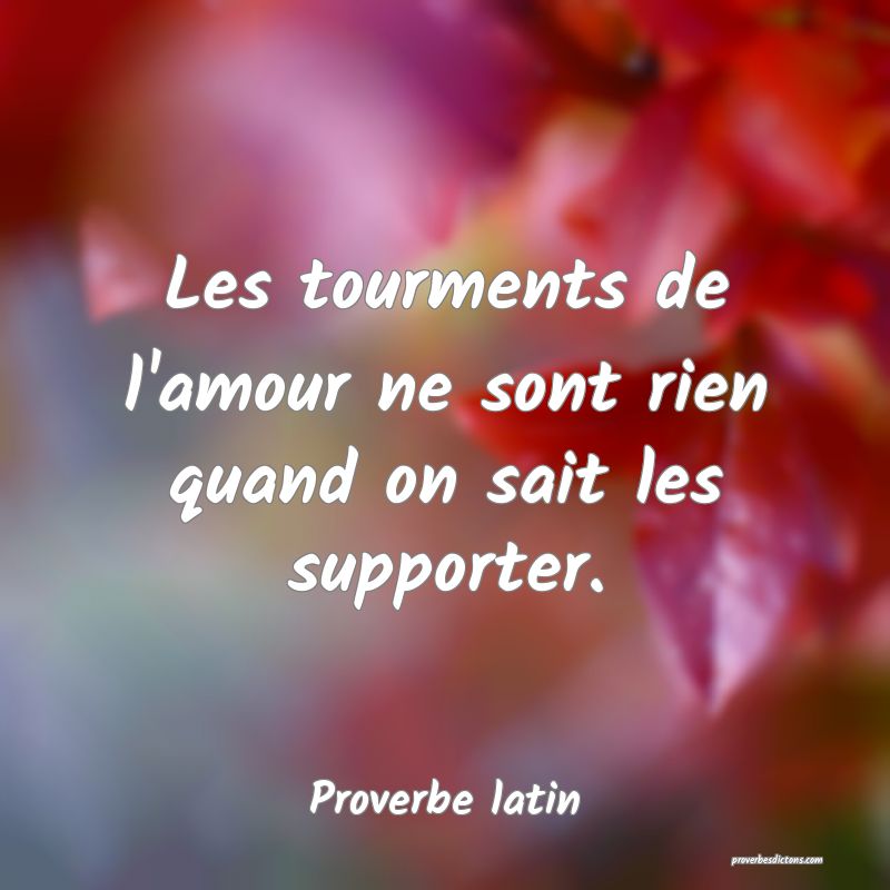Les tourments de l'amour ne sont rien quand on sait les supporter.