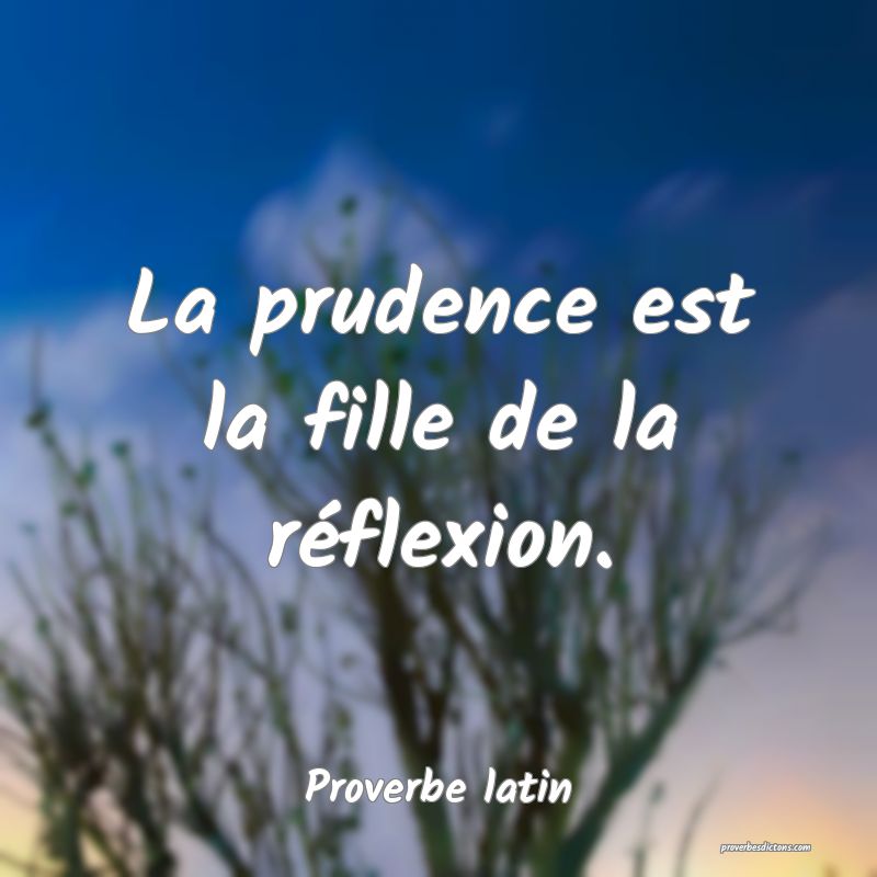 La prudence est la fille de la réflexion.