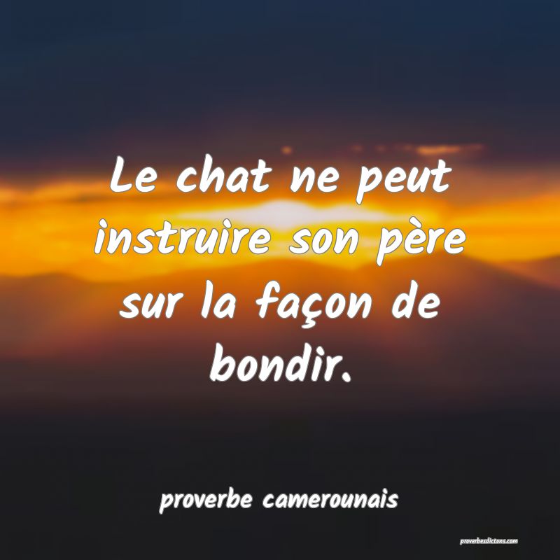 Le chat ne peut instruire son père sur la façon de bondir.