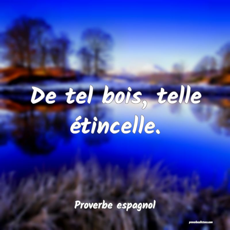 De tel bois, telle étincelle.