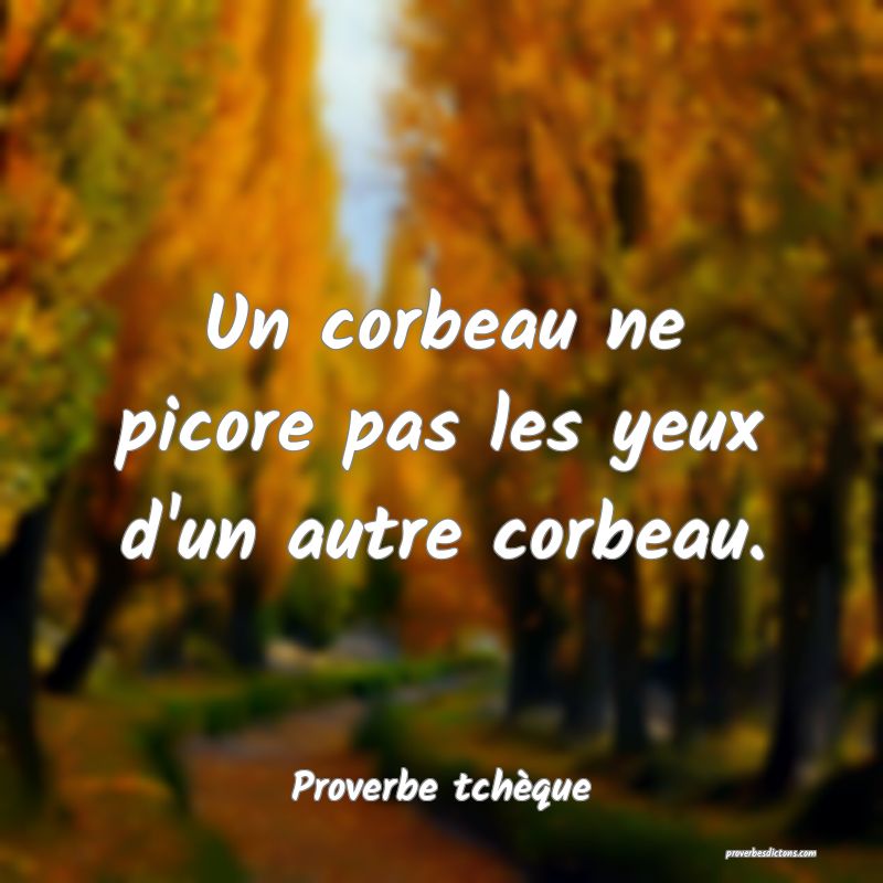 Un corbeau ne picore pas les yeux d'un autre corbeau.