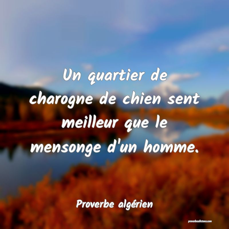 Un quartier de charogne de chien sent meilleur que le mensonge d'un homme.
