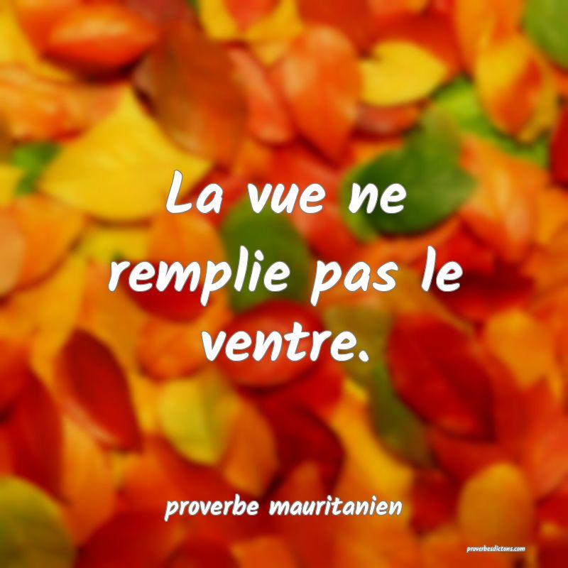  La vue ne remplie pas le ventre.