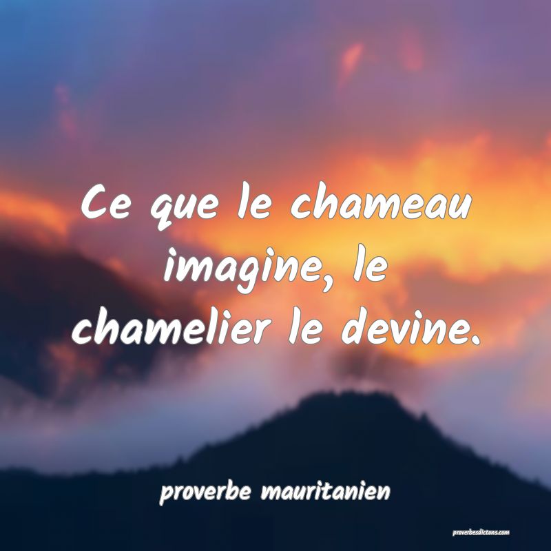  Ce que le chameau imagine, le chamelier le devine.