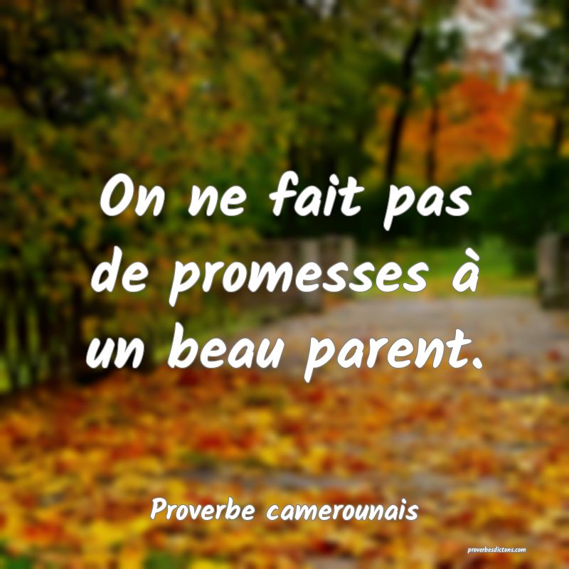 On ne fait pas de promesses à un beau parent.
