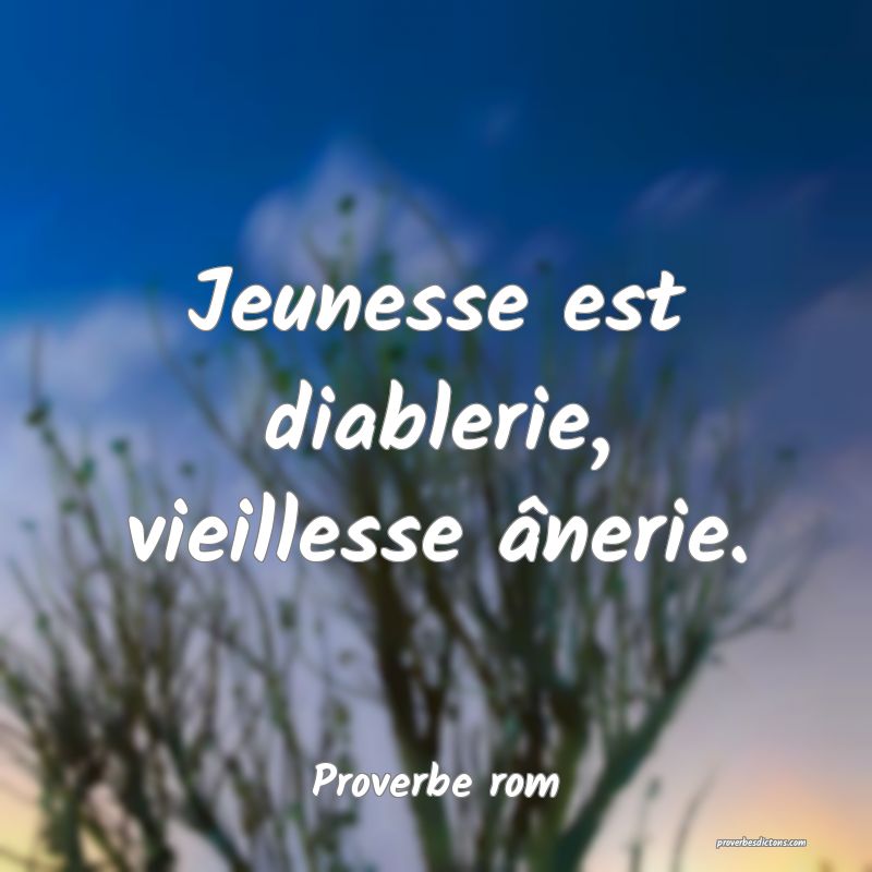 Jeunesse est diablerie, vieillesse ânerie.
