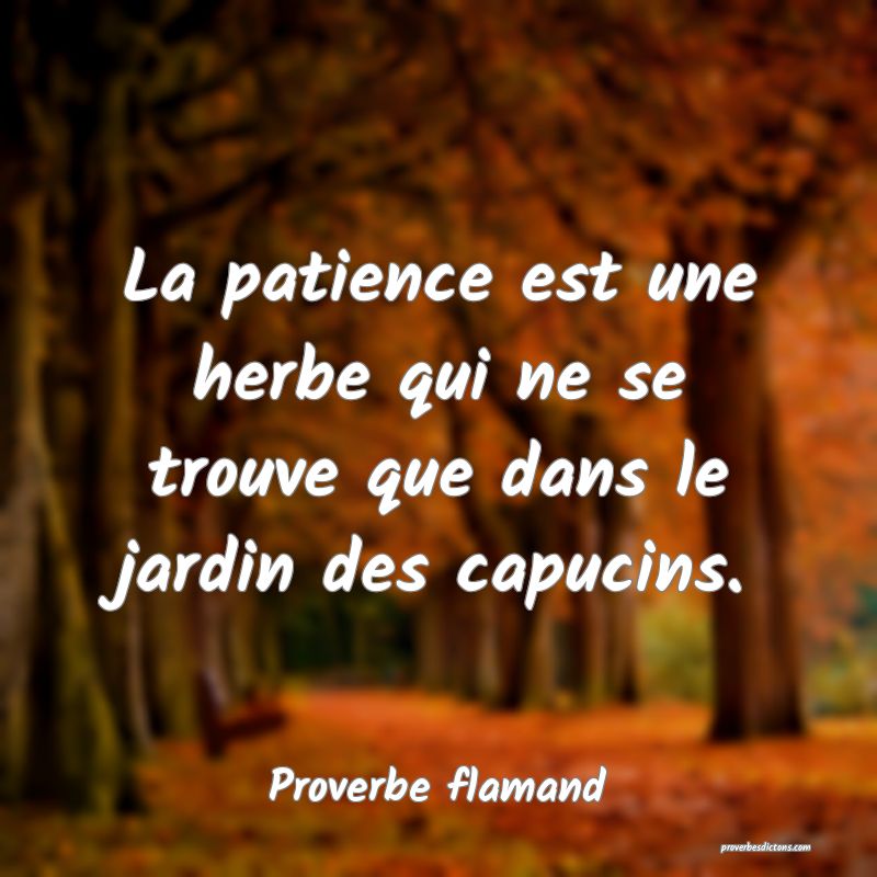La patience est une herbe qui ne se trouve que dans le jardin des capucins.