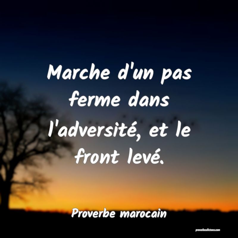 Marche d'un pas ferme dans l'adversité, et le front levé.