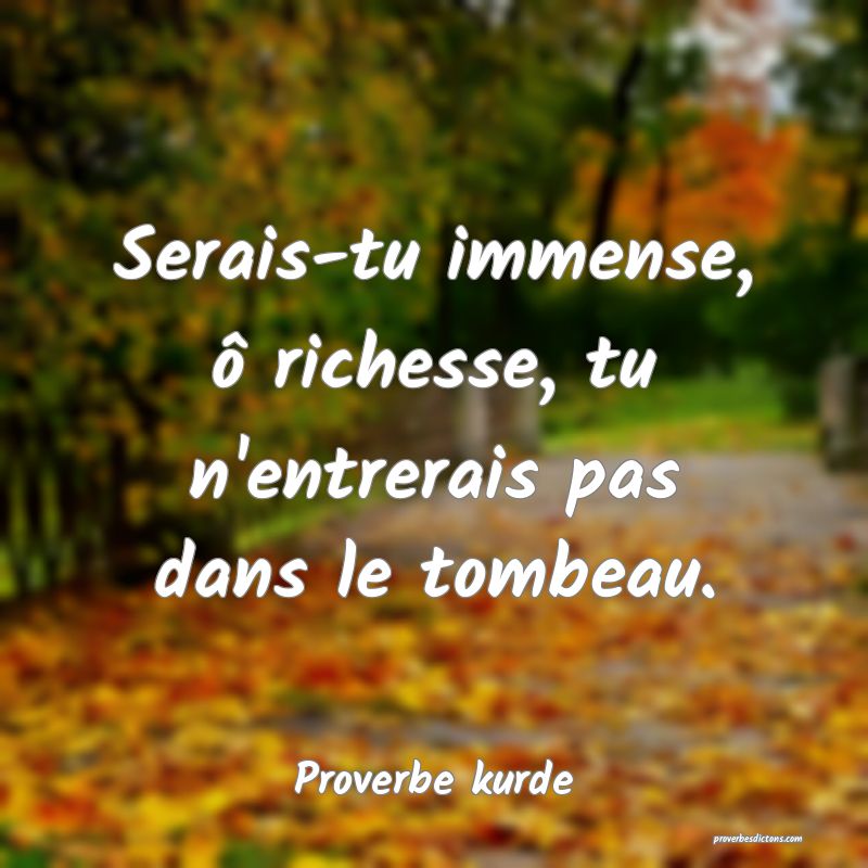 Serais-tu immense, ô richesse, tu n'entrerais pas dans le tombeau.
