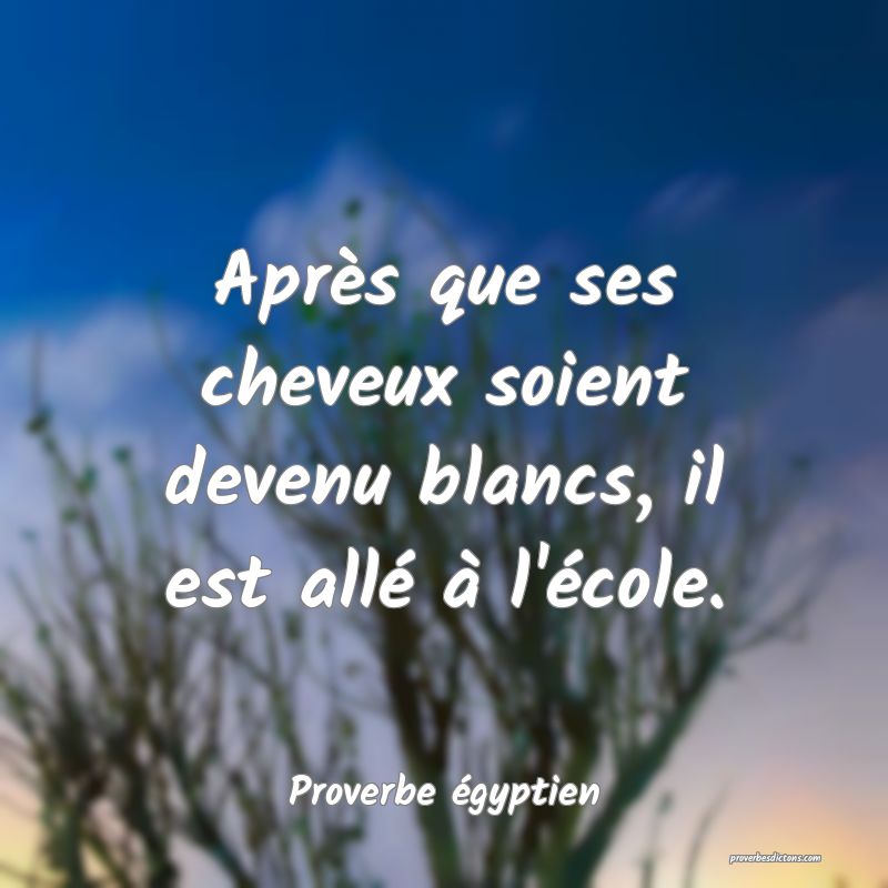 Après que ses cheveux soient devenu blancs, il est allé à l'école.