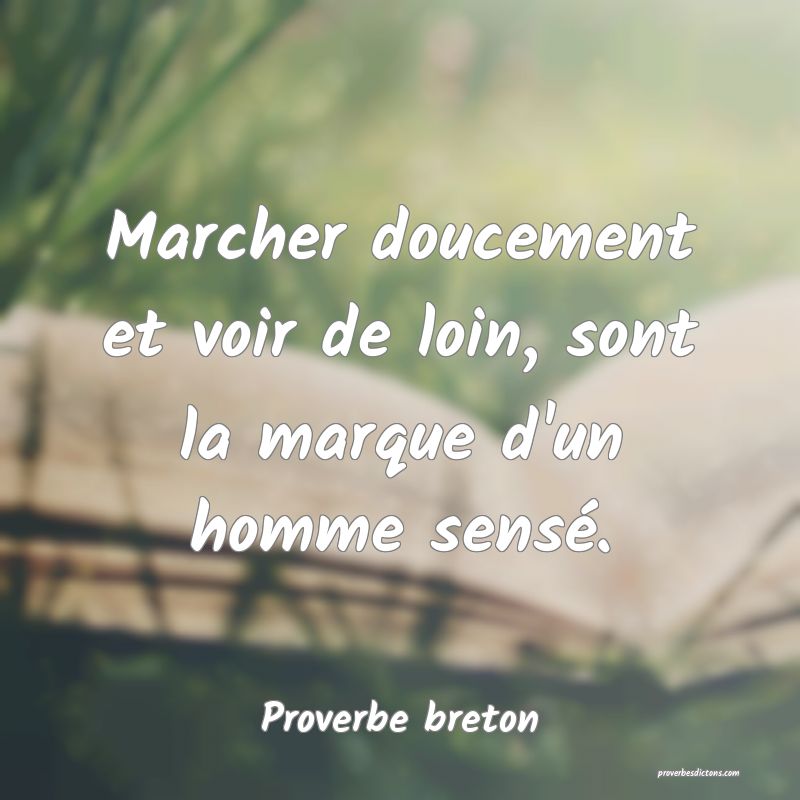 Marcher doucement et voir de loin, sont la marque d'un homme sensé.