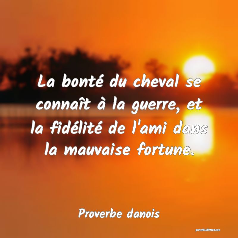 La bonté du cheval se connaît à la guerre, et la fidélité de l'ami dans la mauvaise fortune.
