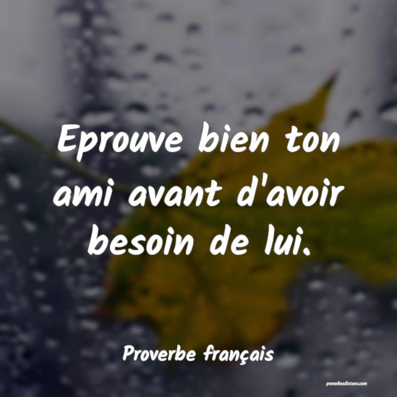 Eprouve bien ton ami avant d'avoir besoin de lui.