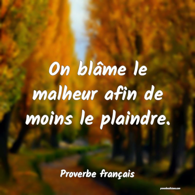 On blâme le malheur afin de moins le plaindre.