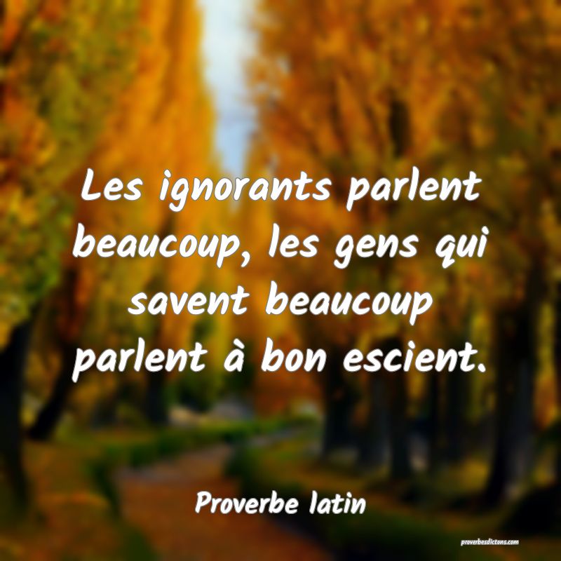 Les ignorants parlent beaucoup, les gens qui savent beaucoup parlent à bon escient.
