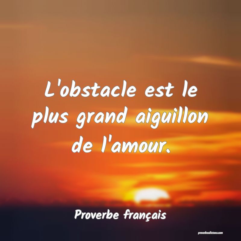 L'obstacle est le plus grand aiguillon de l'amour.