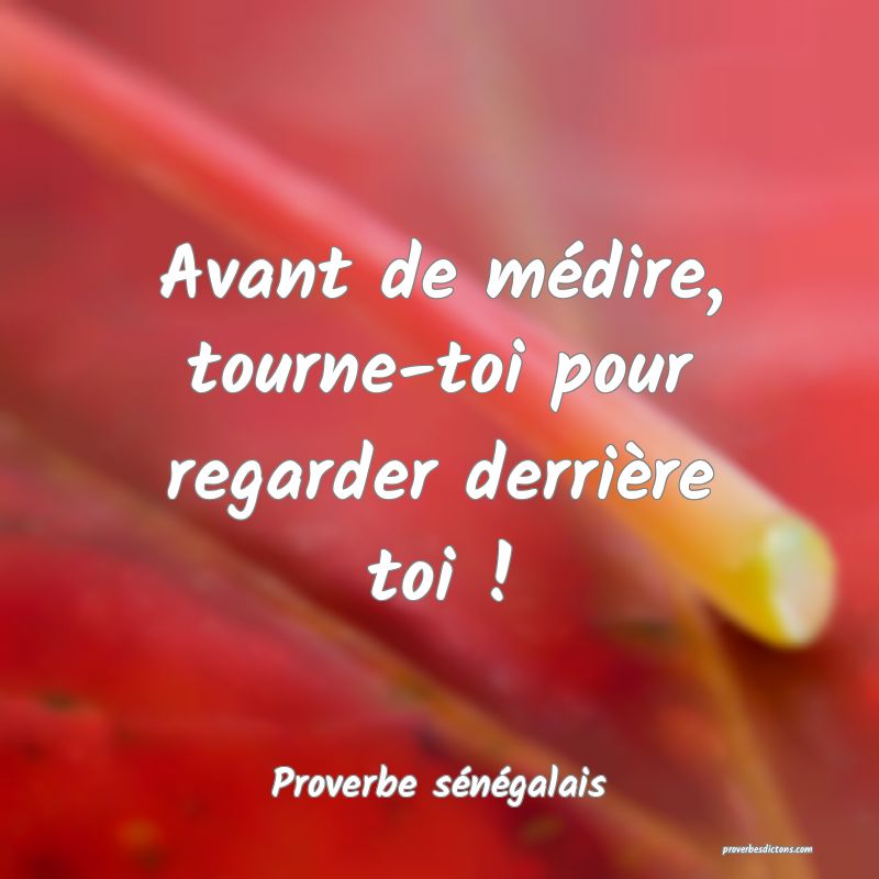  Avant de médire, tourne-toi pour regarder derrière toi !