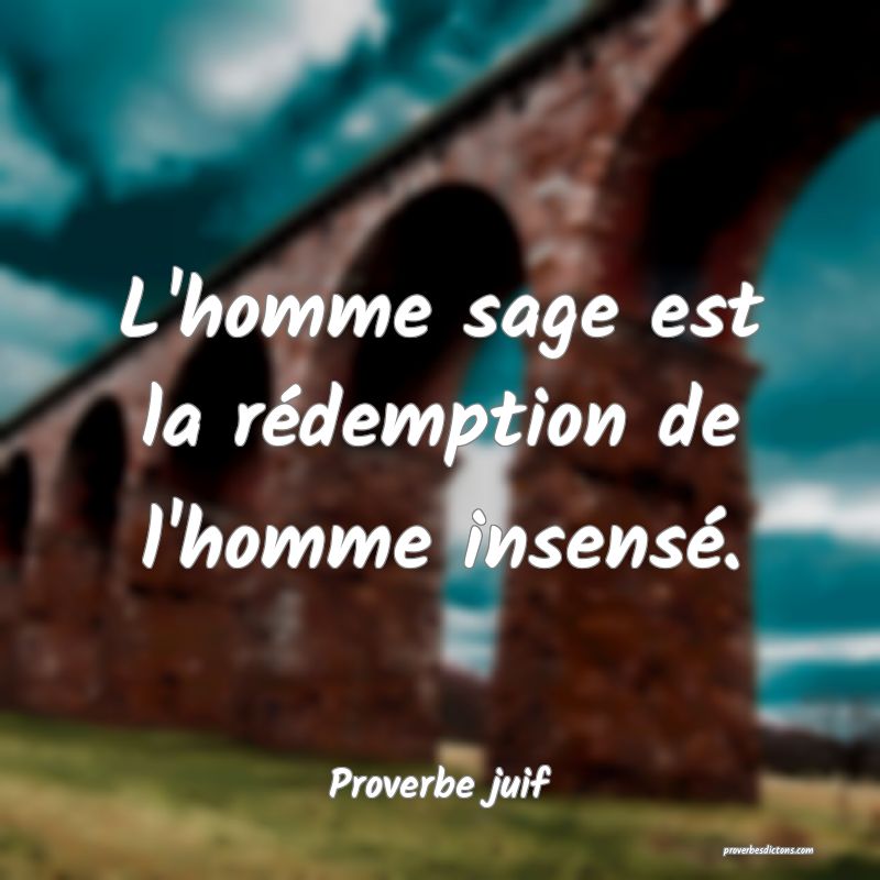 L'homme sage est la rédemption de l'homme insensé.