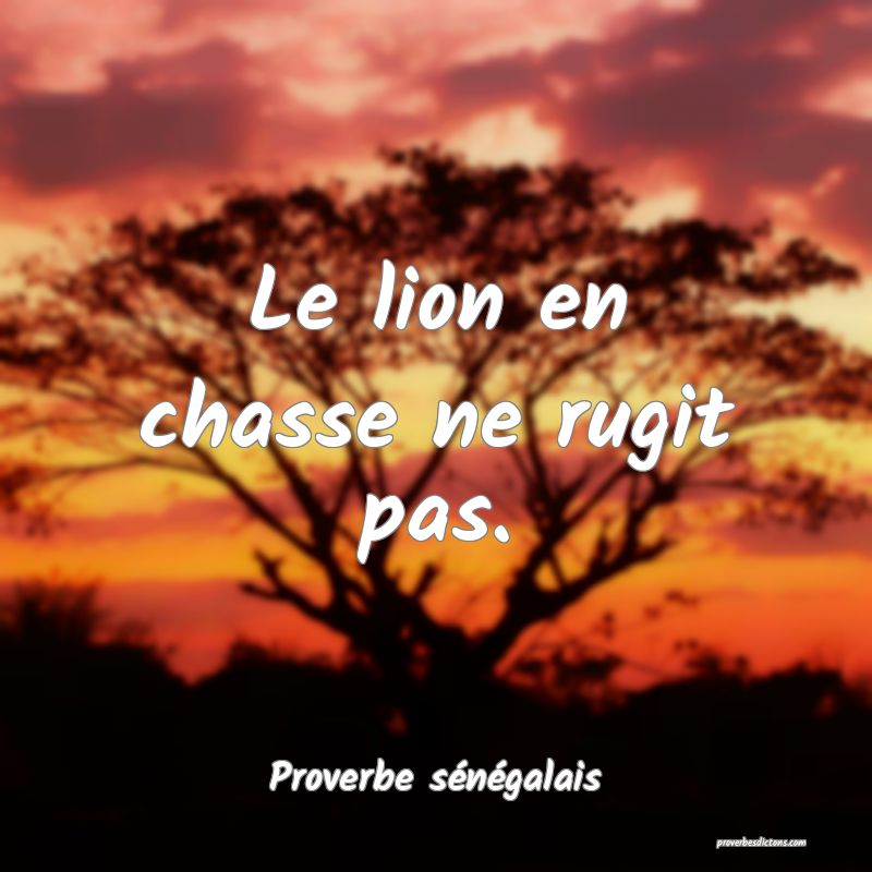  Le lion en chasse ne rugit pas.