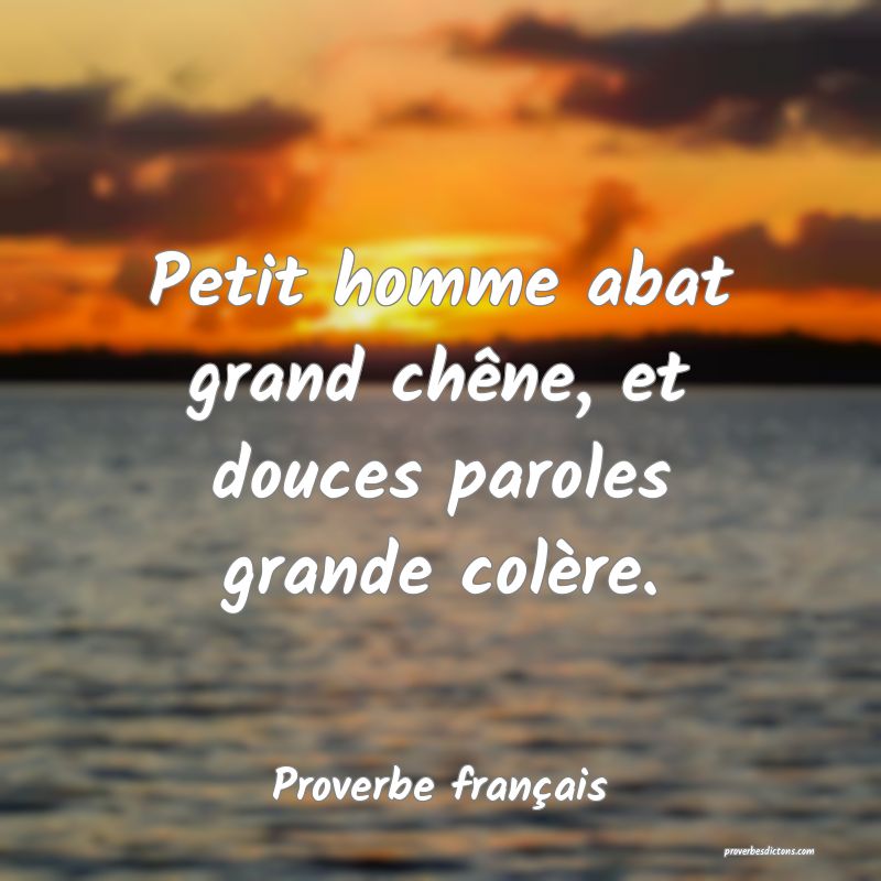 Petit homme abat grand chêne, et douces paroles grande colère.