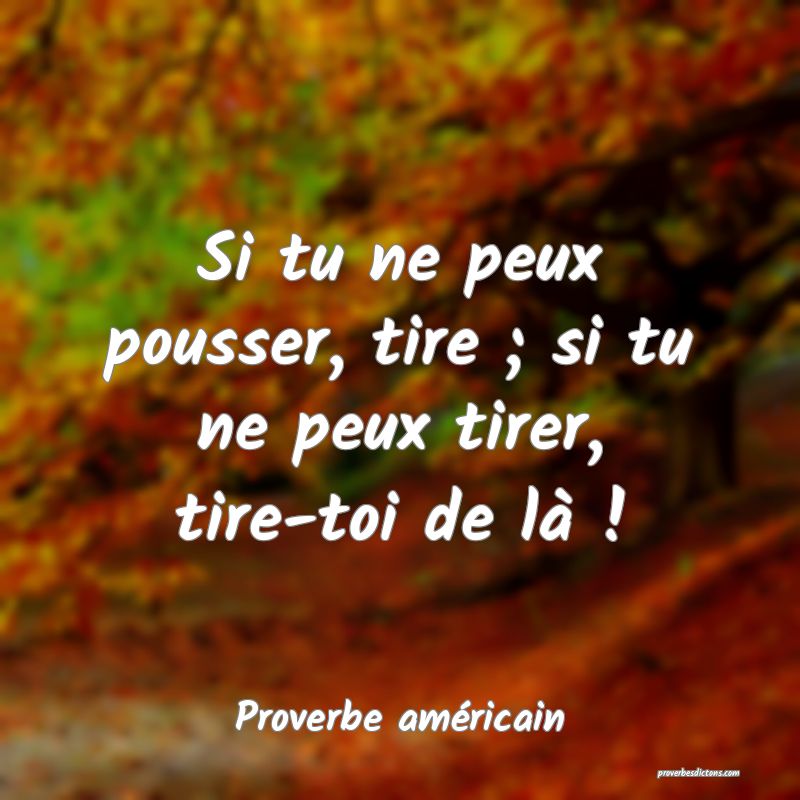 Si tu ne peux pousser, tire ; si tu ne peux tirer, tire-toi de là !