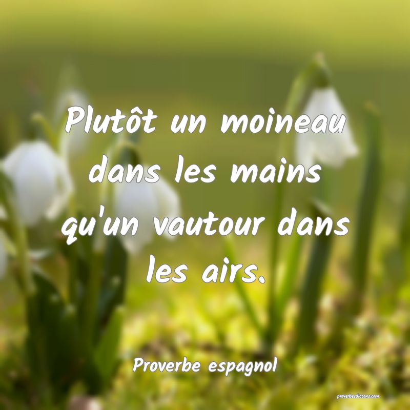 Plutôt un moineau dans les mains qu'un vautour dans les airs.