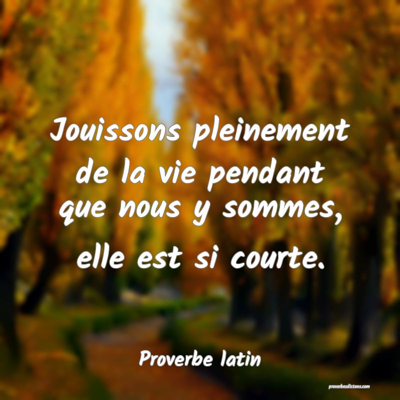 Jouissons pleinement de la vie pendant que nous y sommes, elle est si courte.
