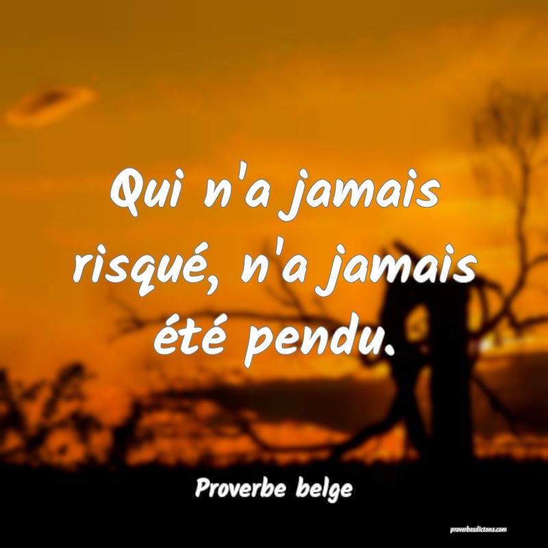 Qui n'a jamais risqué, n'a jamais été pendu.