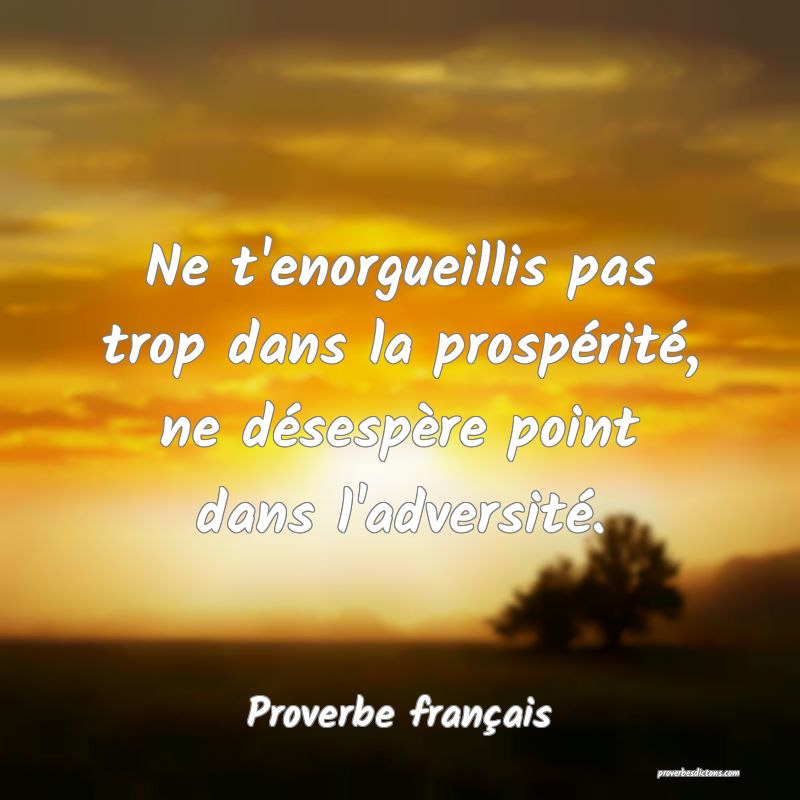 Ne t'enorgueillis pas trop dans la prospérité, ne désespère point dans l'adversité.