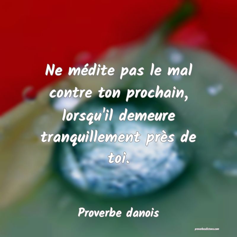 Ne médite pas le mal contre ton prochain, lorsqu'il demeure tranquillement près de toi.