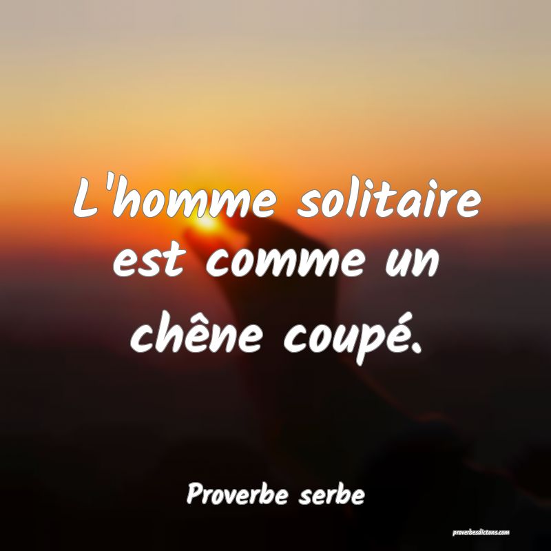 L'homme solitaire est comme un chêne coupé.