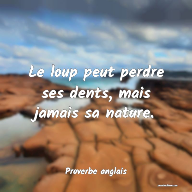 Le loup peut perdre ses dents, mais jamais sa nature.