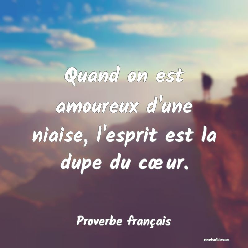 Quand on est amoureux d'une niaise, l'esprit est la dupe du cœur.