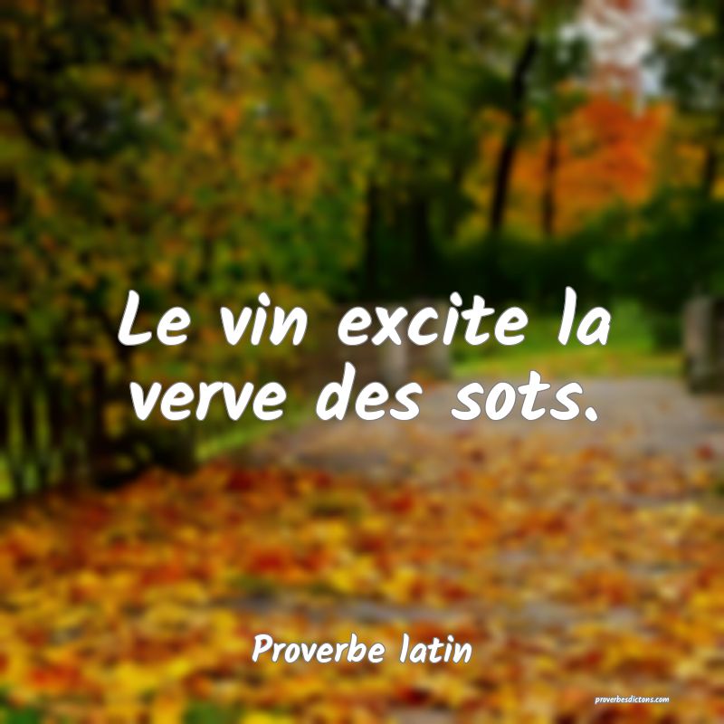 Le vin excite la verve des sots.